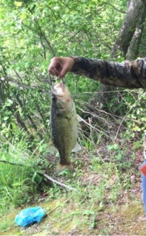 A photo of Mr. Fishing Man's catch