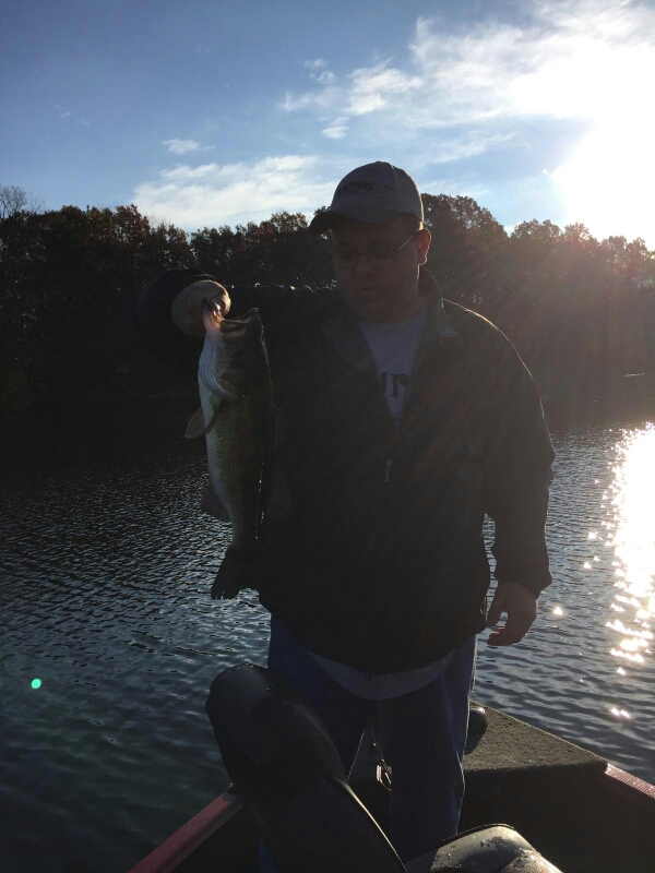 Fishidy