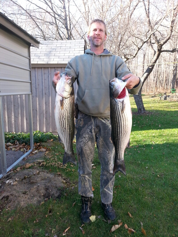 Caught a Striped Bass on Beltzville Lake