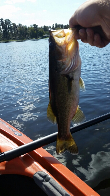 A photo of eric Cauley 's catch