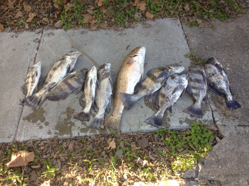 A photo of Justin Fell's catch