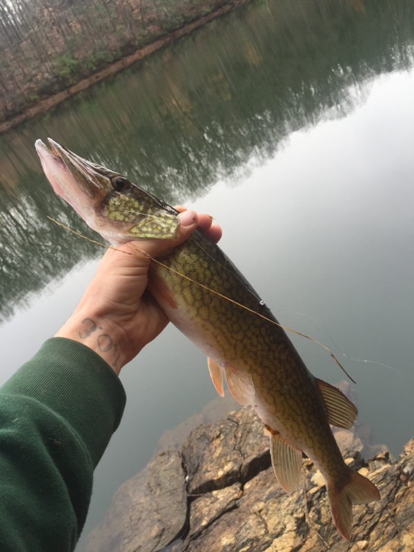 A photo of John Hinckle's catch