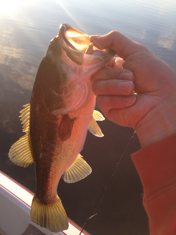 A photo of Garrett Posey's catch