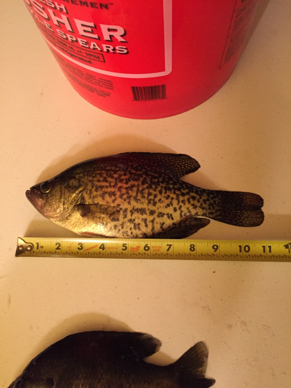 A photo of Troy Doucette's catch