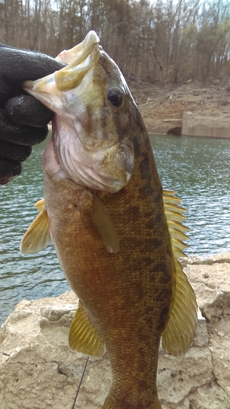 A photo of alex kaster's catch