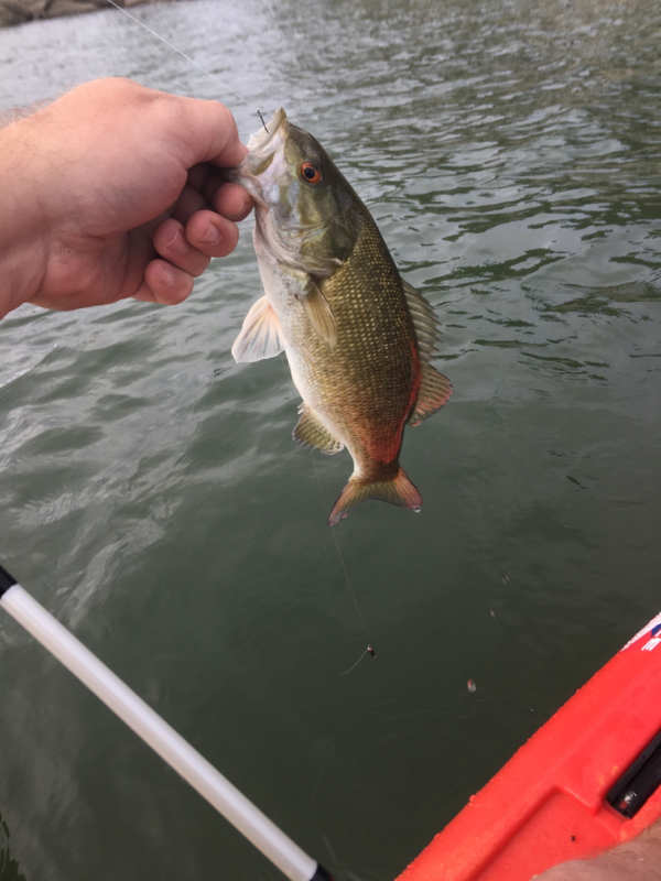 A photo of John Stanley's catch