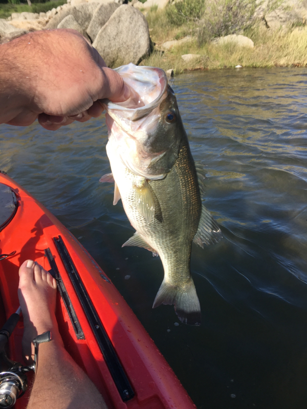 A photo of John Stanley's catch