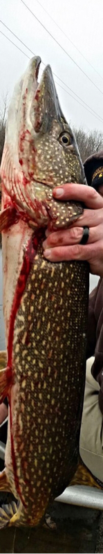 A photo of cole g's catch