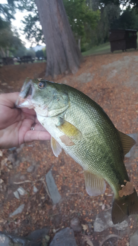 A photo of C B's catch