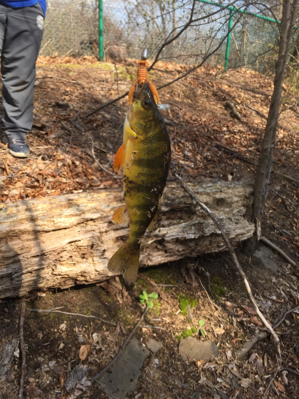 A photo of Greg Powers's catch