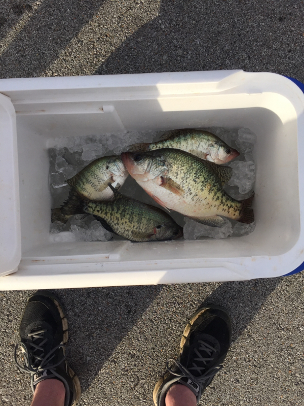 A photo of Brad Hutcherson 's catch