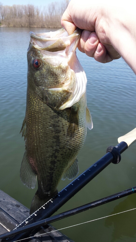 A photo of mike baumgarten's catch