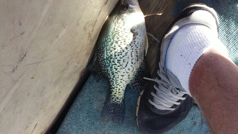 A photo of bill chase's catch
