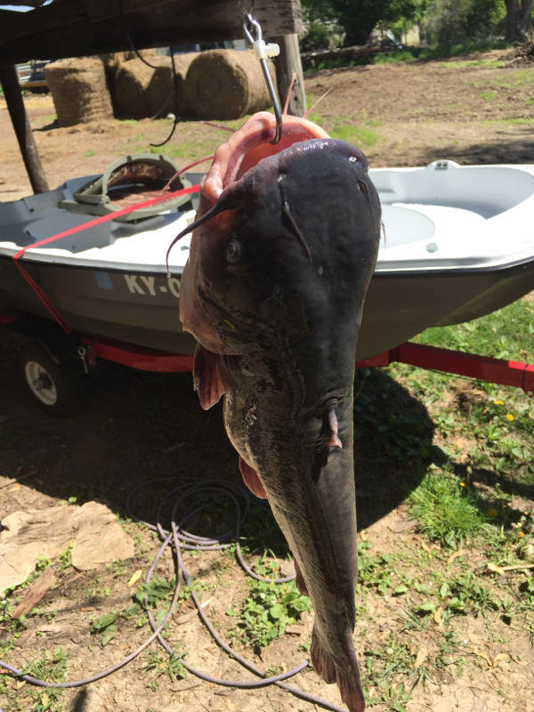 A photo of Tim Harrod's catch