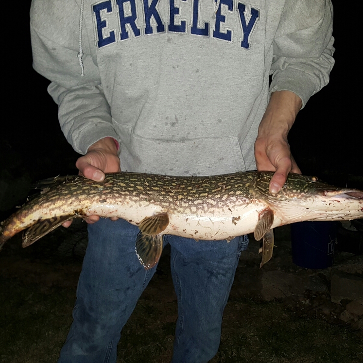 A photo of Chad Dumdie's catch