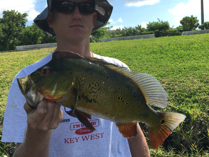 A photo of mark slaughter's catch
