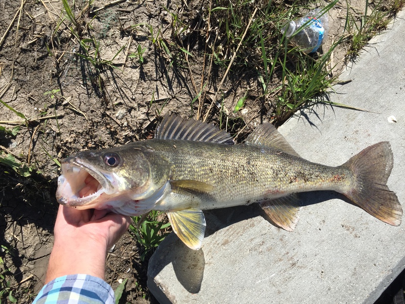 A photo of Nathan Boesch's catch