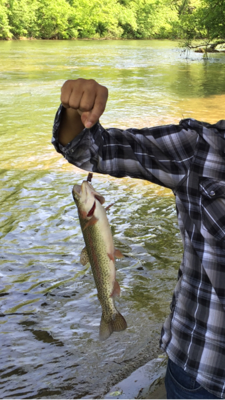 A photo of Mr. Fishing Man's catch