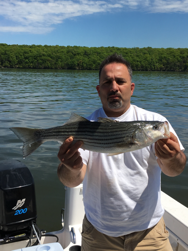 A photo of john lusuriello's catch