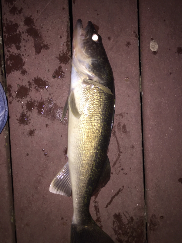 A photo of Adam Willich's catch