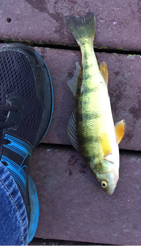 A photo of Adam Willich's catch