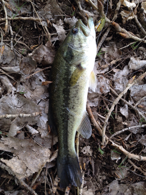 A photo of Jerry Baker's catch
