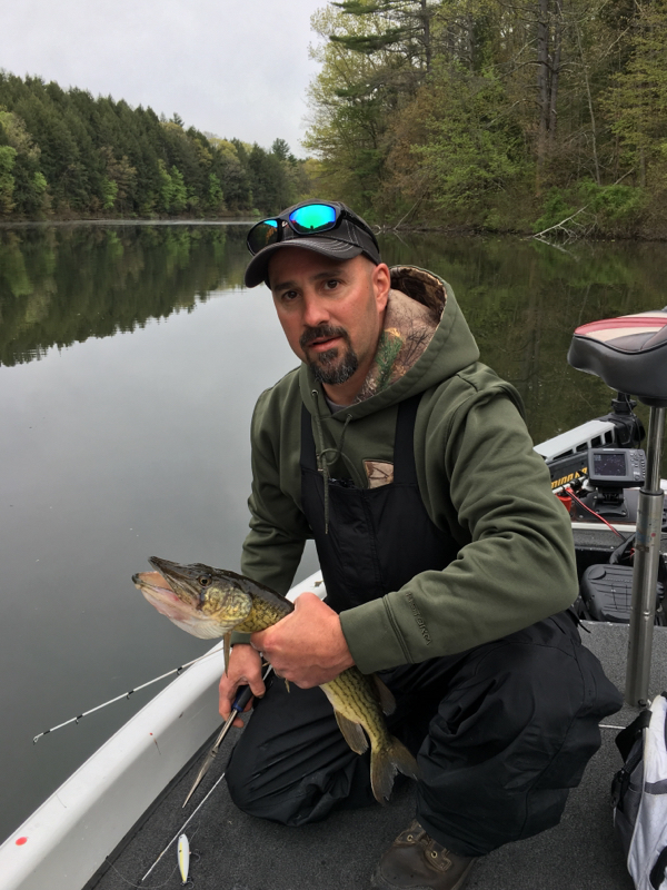 Caught a American Pickerel on Beltzville Lake using a stick bait