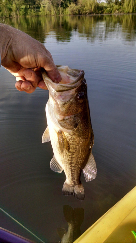 A photo of Brian Olsen's catch