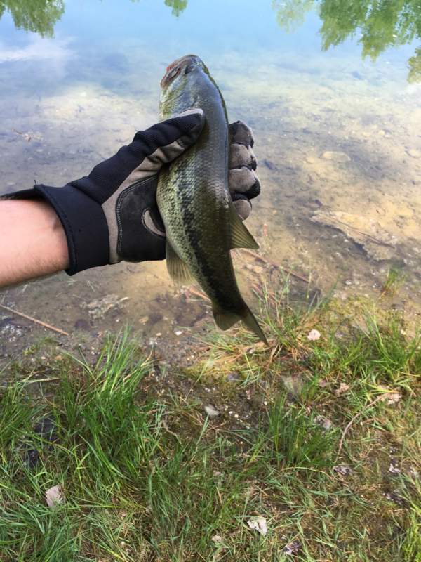 A photo of Chaise Frederick's catch