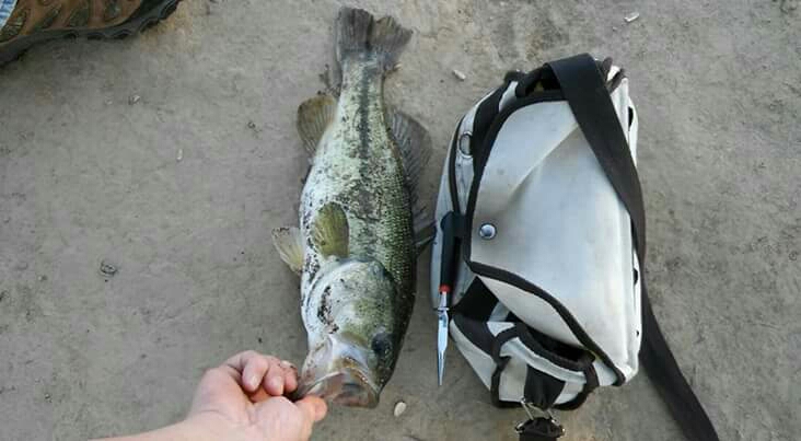 A photo of Richard Reynolds's catch