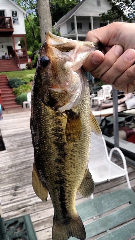 A photo of Kyle Bennett's catch