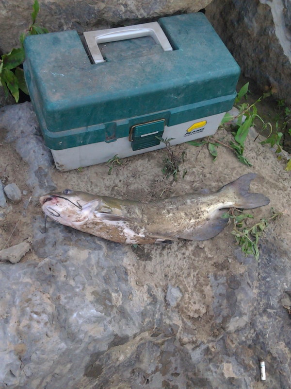 A photo of David Hazelbaker's catch