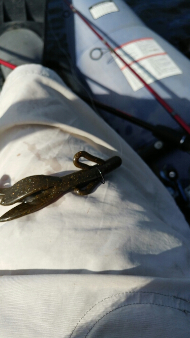 A photo of Jon Hansen's catch