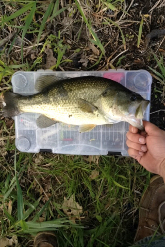 A photo of Mike Braunsreuter 's catch