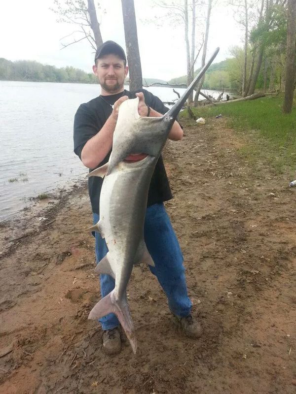 A photo of Kevin  Walk's catch