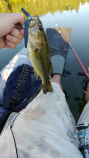 A photo of Jon Hansen's catch