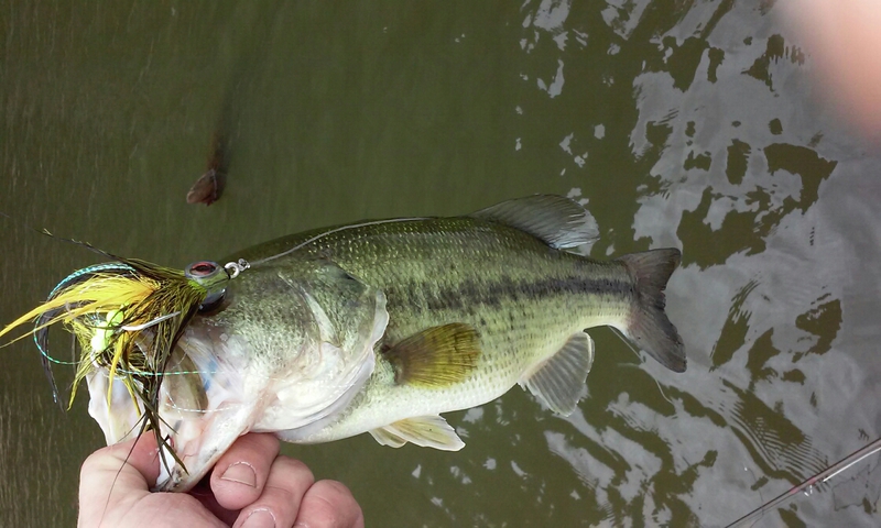 A photo of Mark Vincent's catch