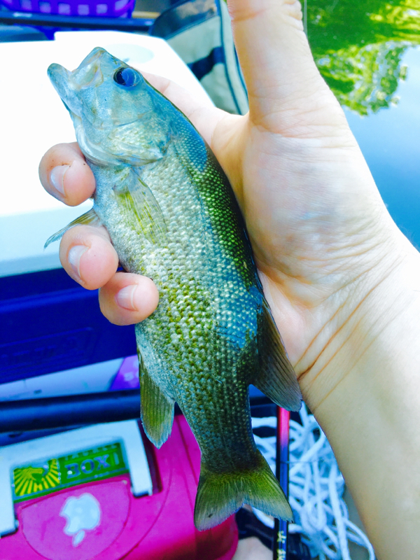 A photo of Ge Yu's catch