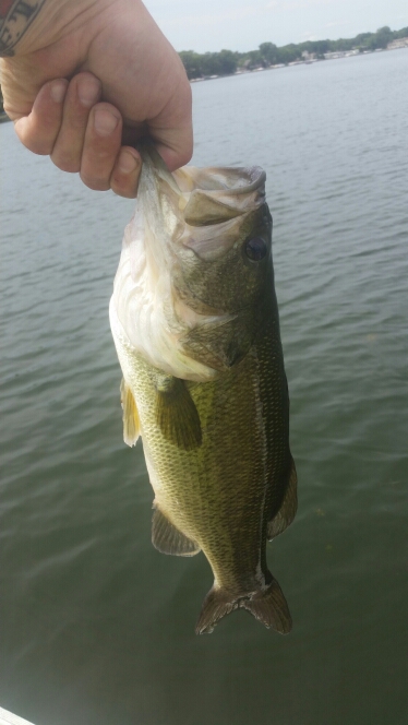 A photo of jake Ringelstetter 's catch