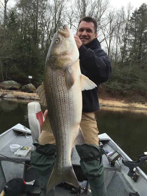 Caught a Striped Bass on Lake Wallenpaupack