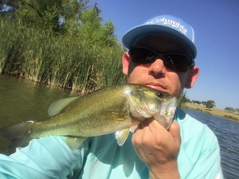 Caught a Largemouth Bass on Marine Creek Lake using a Jig with craw trailer