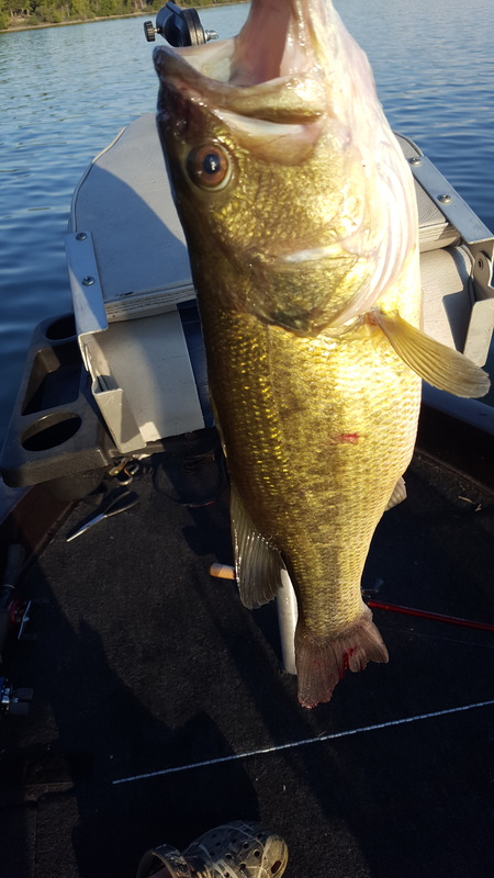 A photo of Jack Sohn's catch