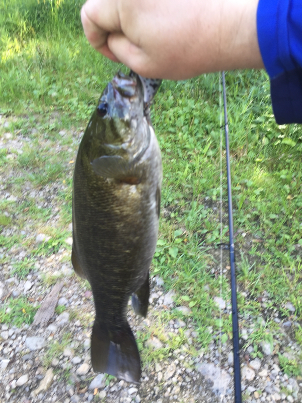 A photo of Adam Raley 's catch