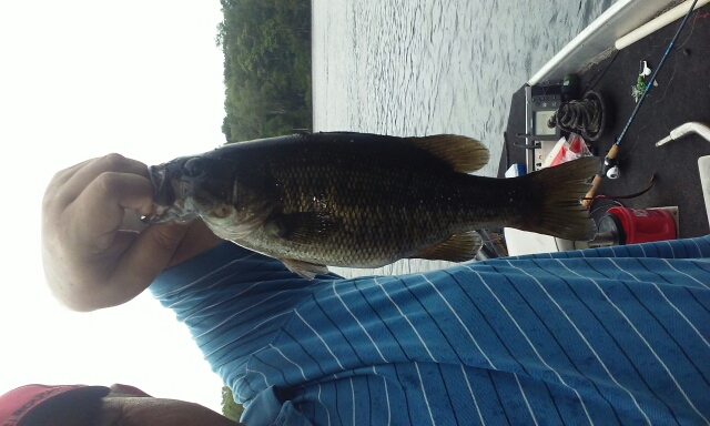 A photo of Scott Whtie's catch