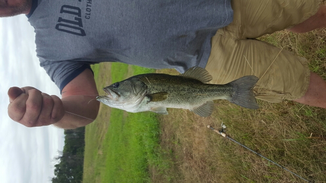 A photo of Jason  schleicher 's catch