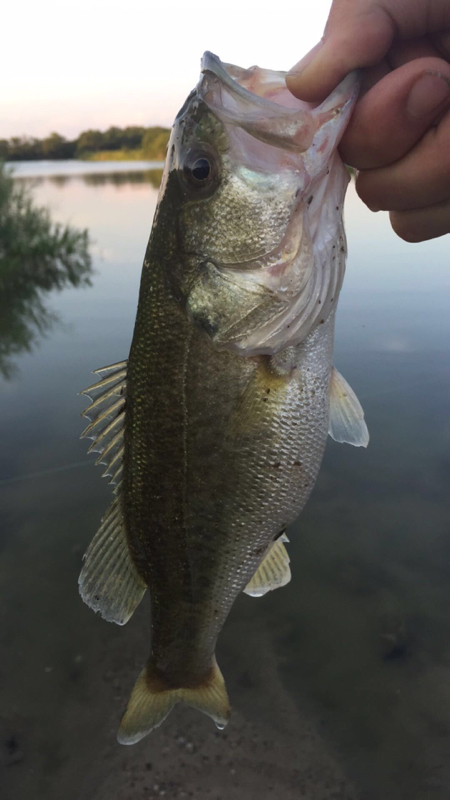A photo of Matthew Parker's catch