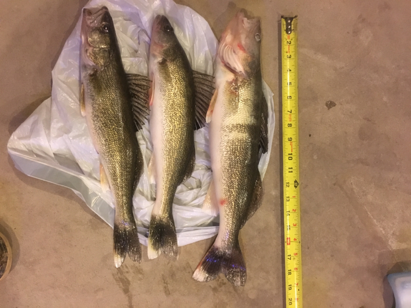 A photo of Joe P's catch