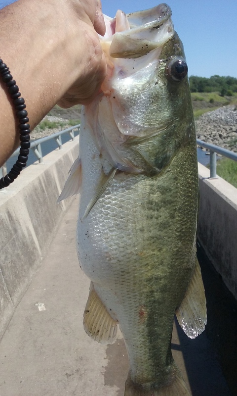 A photo of Tim Greene's catch