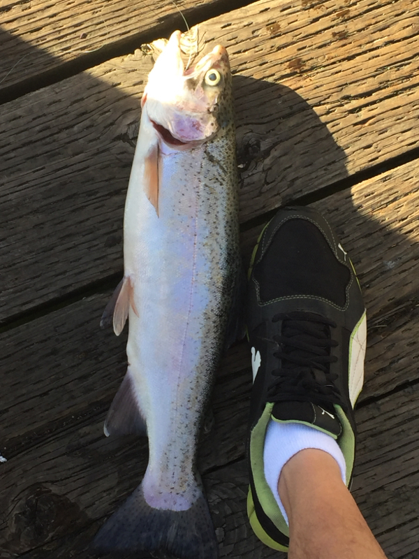 A photo of Jed  Duran's catch