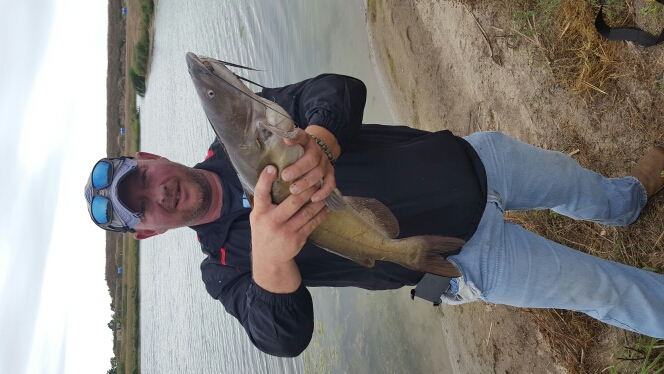 A photo of Jason  schleicher 's catch